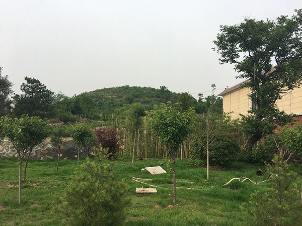 生態(tài)旅游的意義是什么？